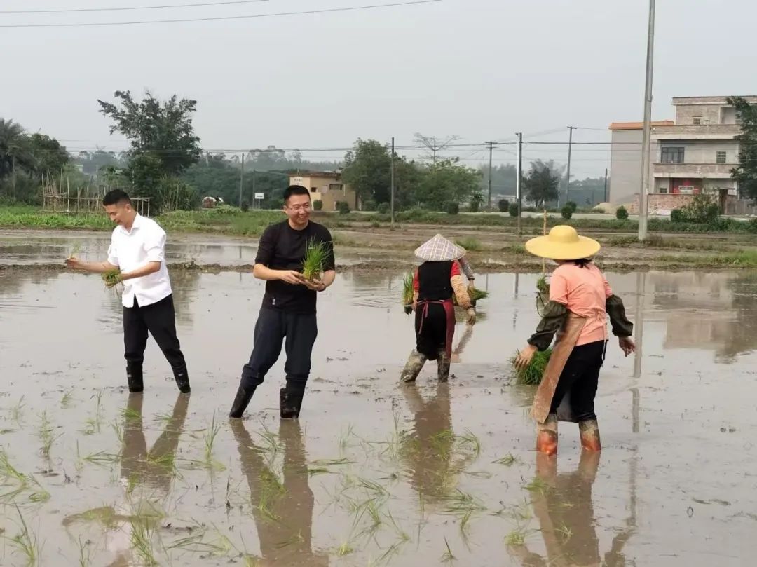 恩平市沙湖镇上凯村第一书记陈伟华：党建引领促振兴 打造“永不撤离的战斗堡垒”